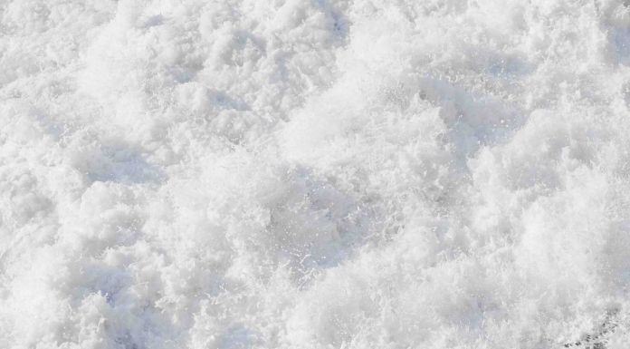 Pure Whitehttps://www.exibart.com/repository/media/eventi/2018/07/pure-white.jpg