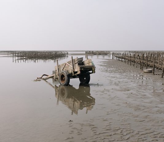 Davide Mandolini – L’isola di Formosa Davide Mandolini – L’isola di Formosa