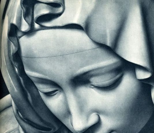 Nel Segno di Michelangelo
