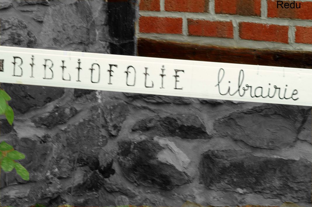 Andrea Battaglini – Booktownshttps://www.exibart.com/repository/media/eventi/2018/09/andrea-battaglini-8211-booktowns-1068x710.jpg