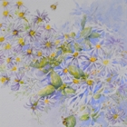 Chicchi Baggiani – La trasparenza dei fiori Chicchi Baggiani – La trasparenza dei fiori