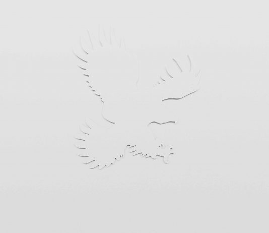 Daniel Boccato – Fly like an eagle