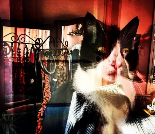 Fabio Sorti – Instantanee