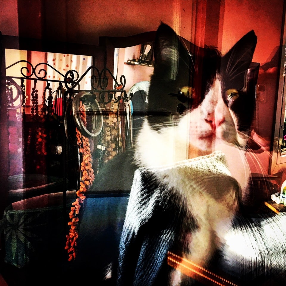 Fabio Sorti – Instantaneehttps://www.exibart.com/repository/media/eventi/2018/09/fabio-sorti-8211-instantanee.jpg