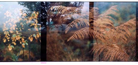 Massimo Magistrini – Autunno metafora del tempo  e dello spazio