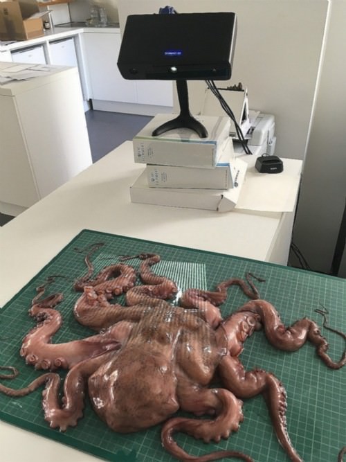 Michel Françoishttps://www.exibart.com/repository/media/eventi/2018/09/michel-françois.jpg