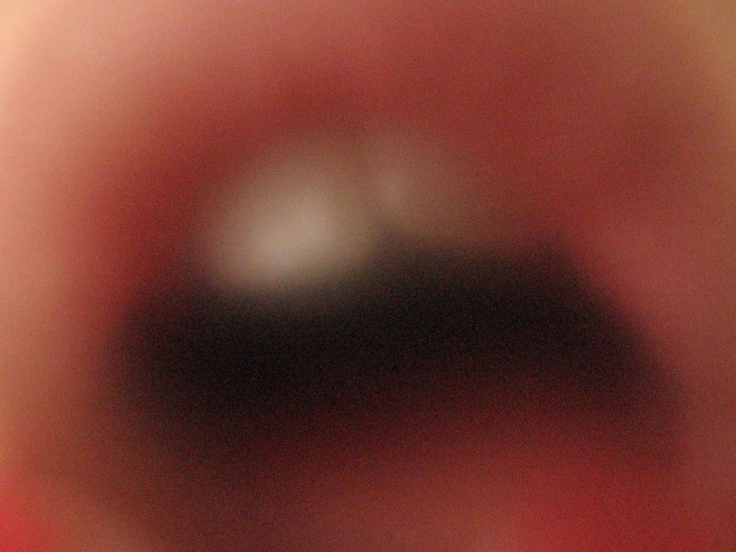 Alessandra Caccia – Vitahttps://www.exibart.com/repository/media/eventi/2018/10/alessandra-caccia-8211-vita-1068x801.jpg