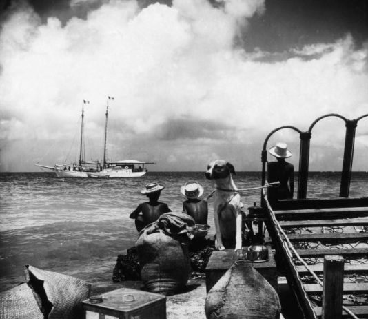 Folco Quilici – Testimone del mondo