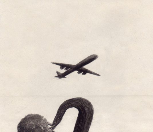 Marco Smacchia – NATURE molte