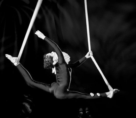 Martina Cristetti – Circus
