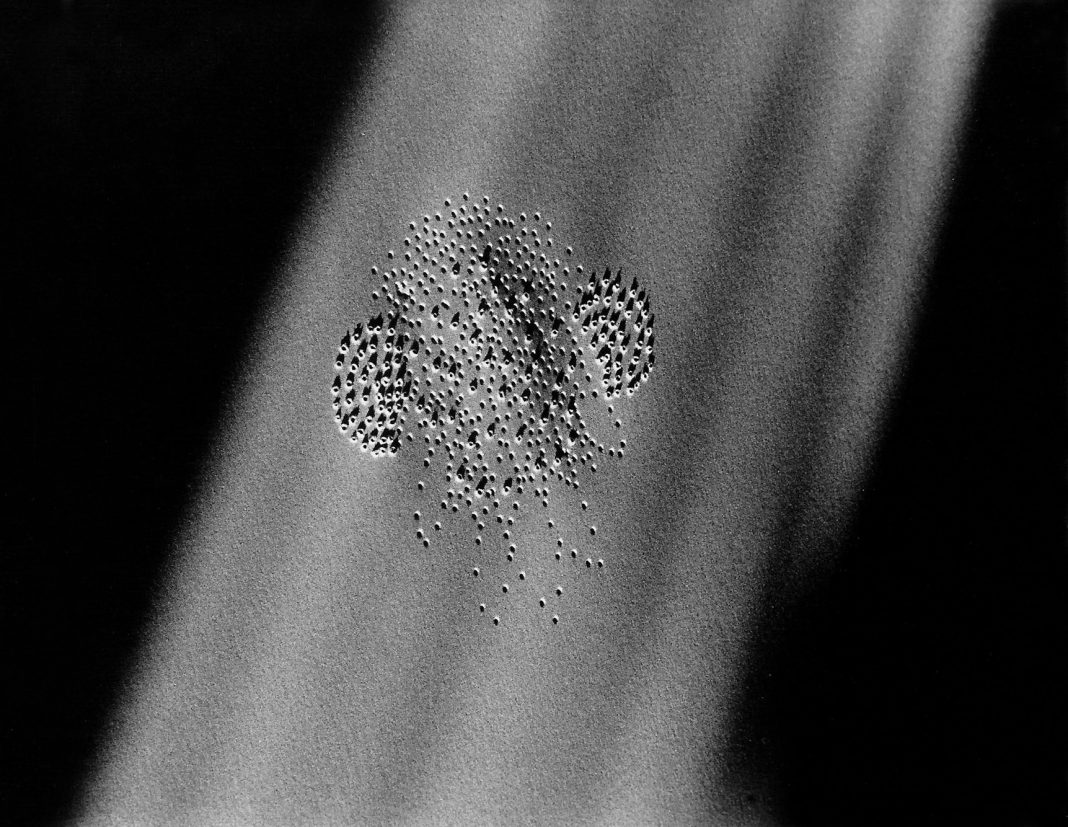 Morena Pedrini – Sfioramentihttps://www.exibart.com/repository/media/eventi/2018/10/morena-pedrini-8211-sfioramenti-1068x827.jpg