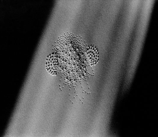 Morena Pedrini – Sfioramenti