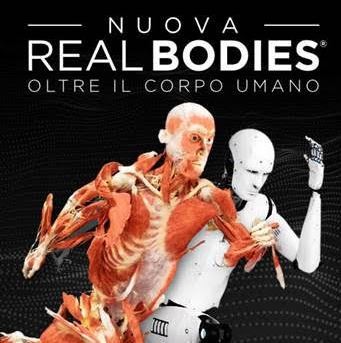 Real Bodies, oltre il corpo umano