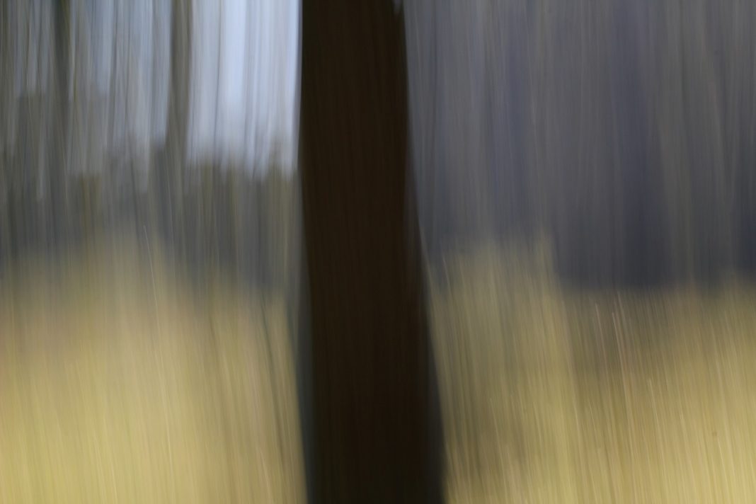 Roberto Bissani – Risonanzehttps://www.exibart.com/repository/media/eventi/2018/10/roberto-bissani-8211-risonanze-1068x712.jpg