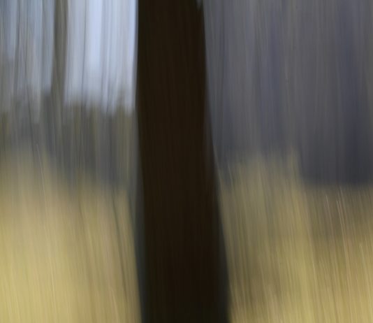 Roberto Bissani – Risonanze Roberto Bissani – Risonanze