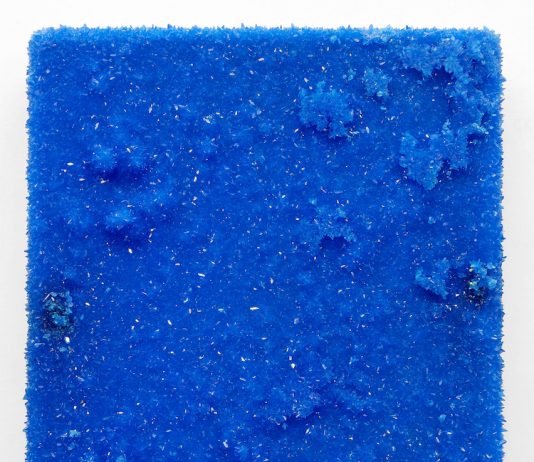 Roger Hiorns – The middle door