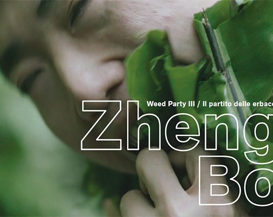 Zheng Bo  – Weed Party III / Il Partito delle Erbacce