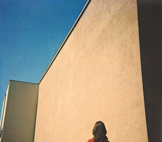 Gianpiero Fanuli – Gentlemen Take Polaroids