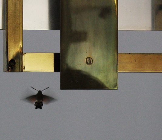 Nicolas Schöffer – Luce in movimento