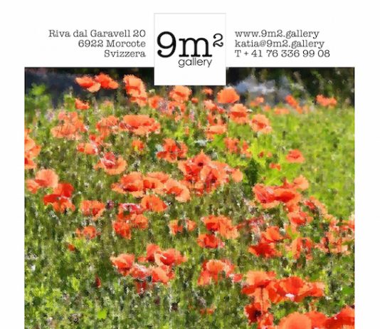 Pietro Masotti – La dinamica dei colori