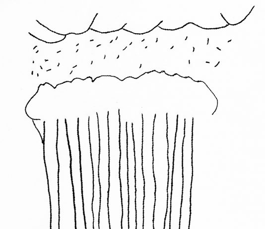 Price is Rice – 100 Storie Kanthate Price is Rice – 100 Storie Kanthate