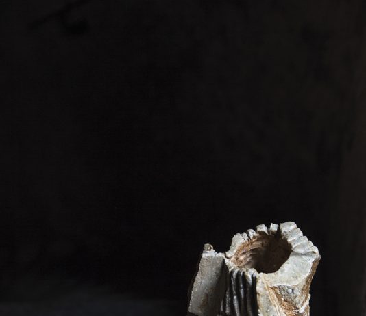 Shozo Michikawa – Natura, Gesto, Scultura