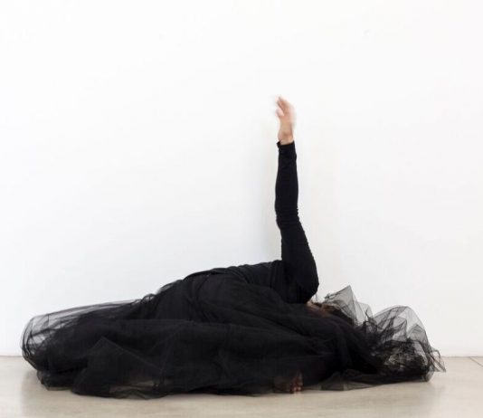 Tatsuo Uemon Ikeda & Janet Park – The Butterfly Dream in the Web