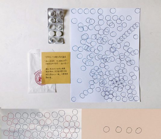 Tianyi Xu – Copy plan / dissoluzione e ricostruzione della funzione