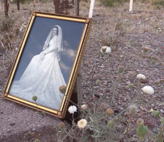 Un’Ora d’Arte – Love In A Dying World di Samantha Stella