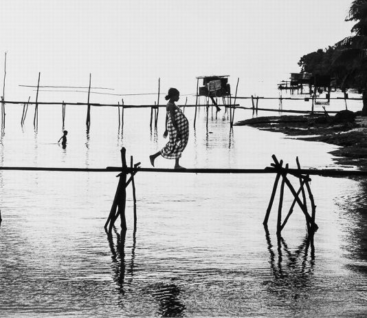 Unexpected Beauty Unexpected Beauty