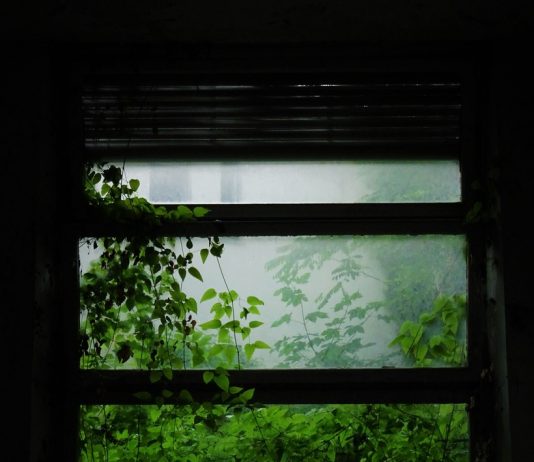 Andrea Pettiti / Erika Gotta – Fish and Sheep