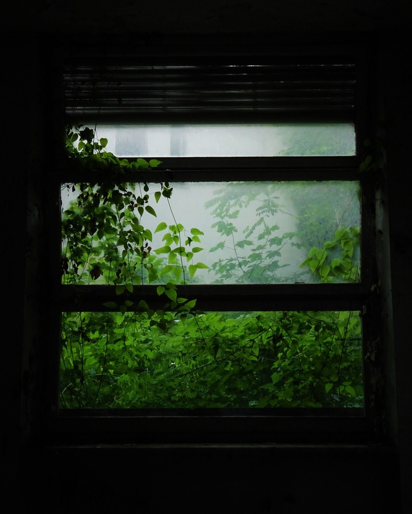 Andrea Pettiti / Erika Gotta – Fish and Sheephttps://www.exibart.com/repository/media/eventi/2018/12/andrea-pettiti-erika-gotta-8211-fish-and-sheep-1.jpg