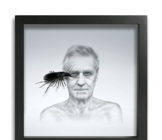 Antonello Matarazzo – Bug