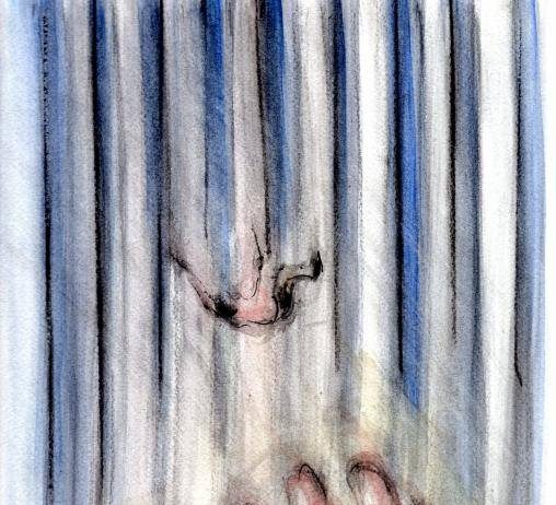 Dal Velo di Nebbia e Vapori