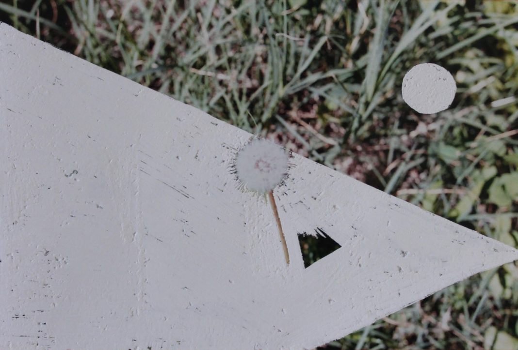 Elena Grigoli / Anna Ulivi – First Stephttps://www.exibart.com/repository/media/eventi/2018/12/elena-grigoli-anna-ulivi-8211-first-step-1068x723.jpg