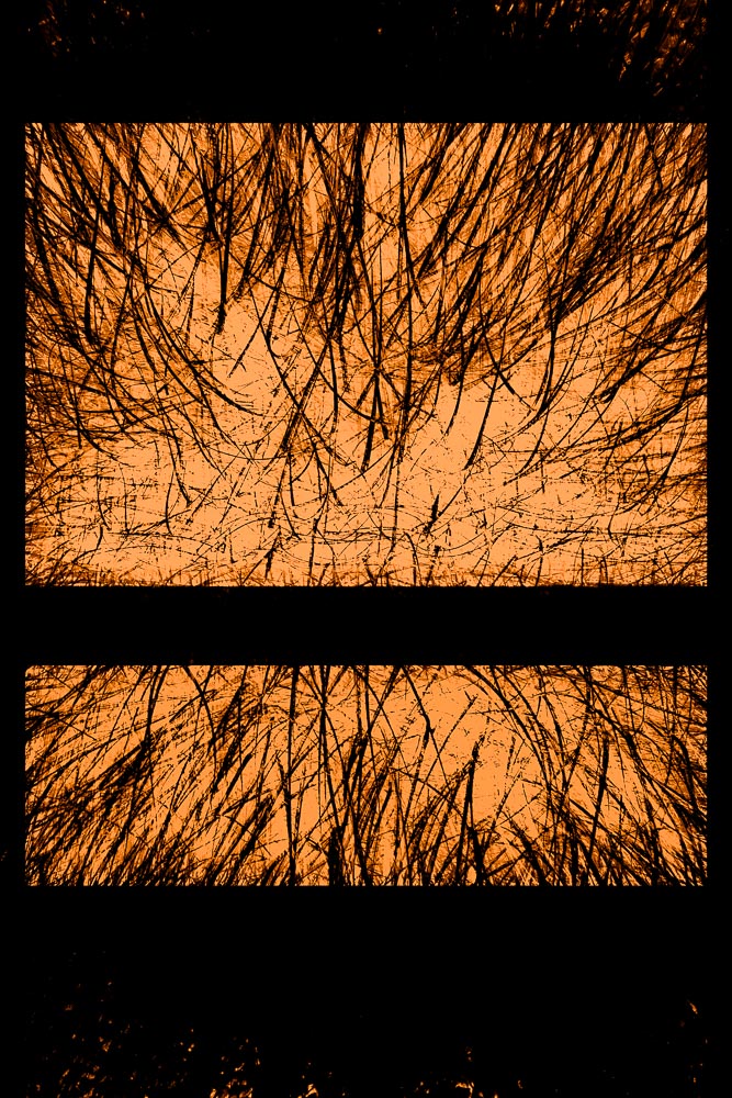 Joris Graafhttps://www.exibart.com/repository/media/eventi/2018/12/joris-graaf.jpg