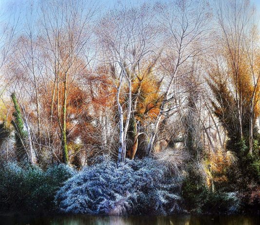 Mirko Mantovan – Passeggiata nella natura