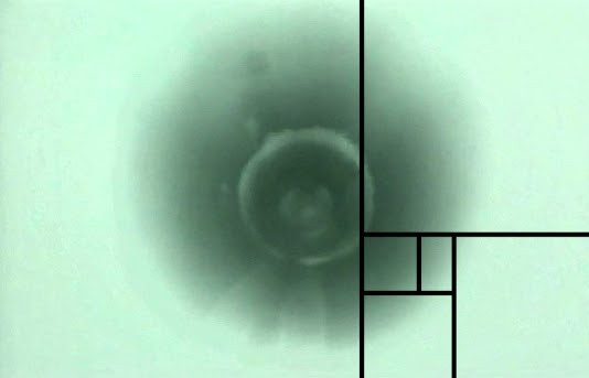 Padiglioni Invisibili: rehearsing the subterranean, un progetto