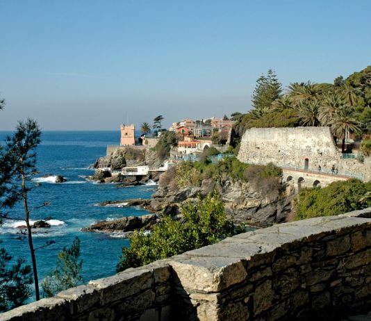 Teresa Maresca – Immersioni e Nature