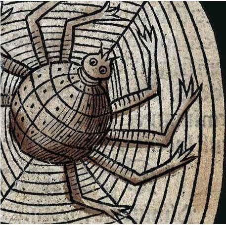 Animalia Fashion Animalia Fashion