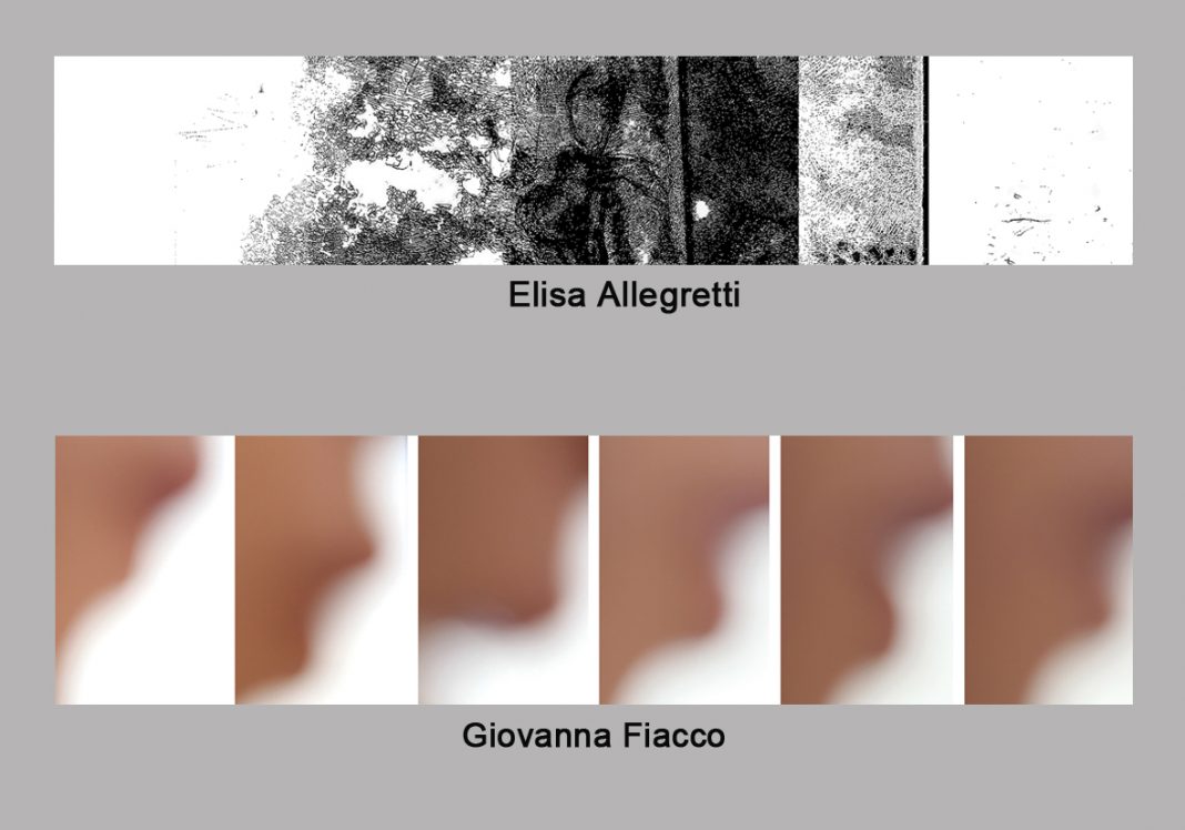 Elisa Allegretti / Giovanna Fiaccohttps://www.exibart.com/repository/media/eventi/2019/01/elisa-allegretti-giovanna-fiacco-1068x748.jpg