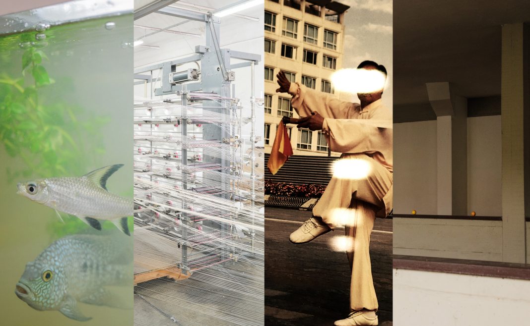 La via della Cina. Talkhttps://www.exibart.com/repository/media/eventi/2019/01/la-via-della-cina.-talk-1068x658.jpg