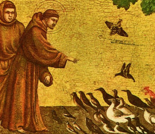 Marinus Boezem –  Bird’s-eye View