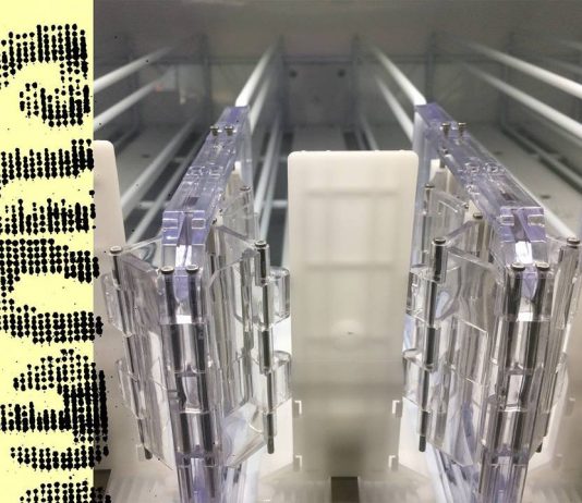 Rob Chavasse – Shutter