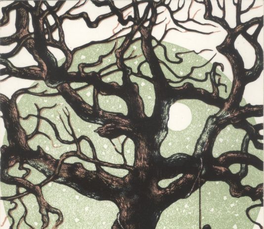 Sigfrido Bartolini – La grafica