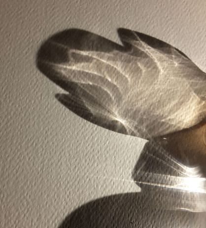 Adriana Del Vento – Ombrescenze