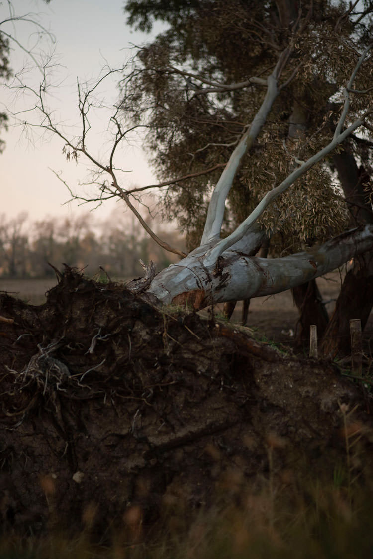 Antonio Petrianni – Acqua Benedettahttps://www.exibart.com/repository/media/eventi/2019/03/antonio-petrianni-8211-acqua-benedetta.jpg