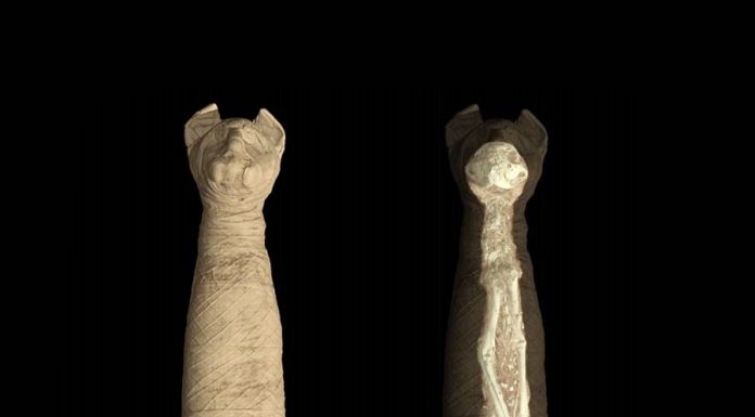 Archeologia invisibilehttps://www.exibart.com/repository/media/eventi/2019/03/archeologia-invisibile-1.jpg