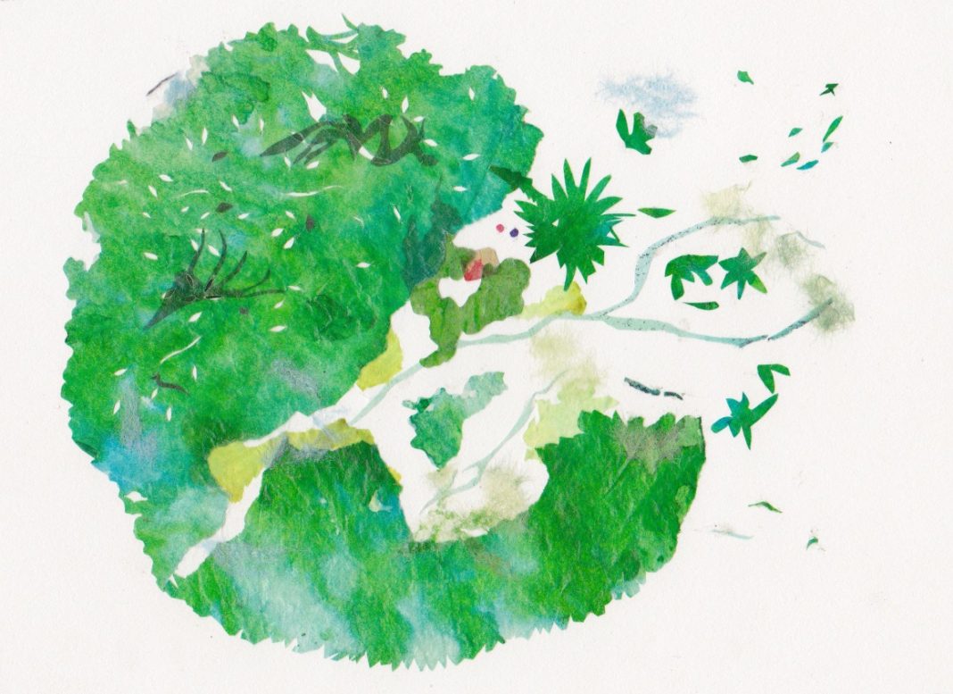 Clementina Mingozzi – A passo di forbici in appunti di cartahttps://www.exibart.com/repository/media/eventi/2019/03/clementina-mingozzi-8211-a-passo-di-forbici-in-appunti-di-carta-1068x777.jpg