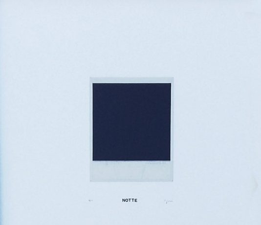 Dario Agrimi – Fotosintesi